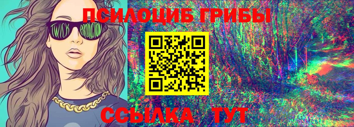 Псилоцибиновые грибы Psilocybine cubensis  Вход с VPN  Урус-Мартан 