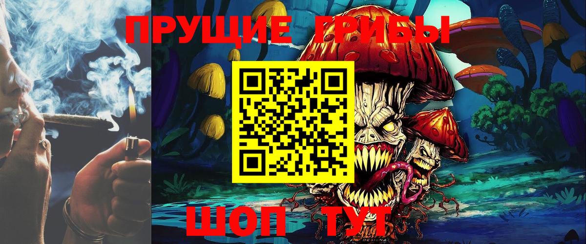 Псилоцибиновые грибы Psilocybe Урус-Мартан